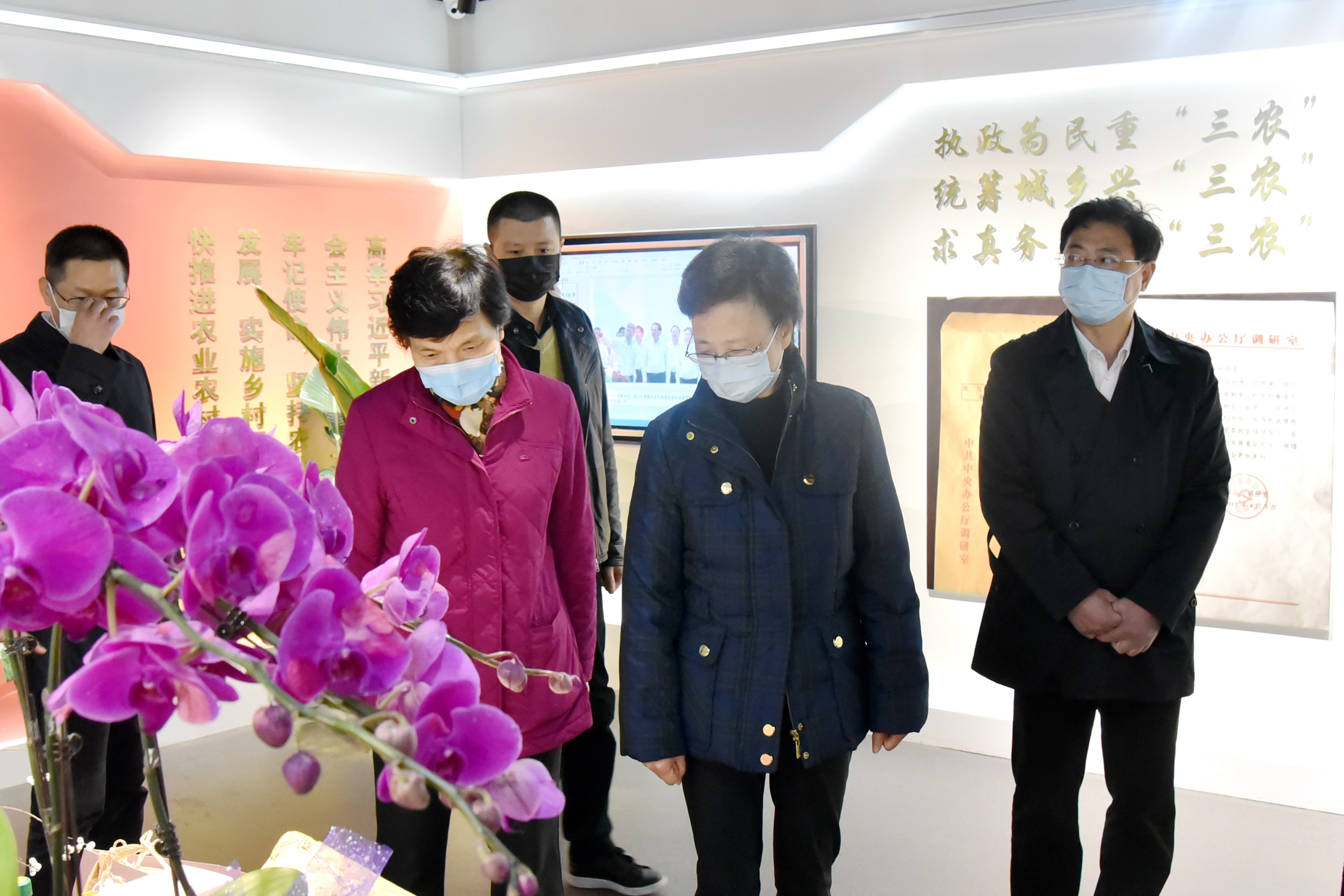 浙江省人大常委会梁黎明书记一行莅临华亿(中国)一站式服务平台调研