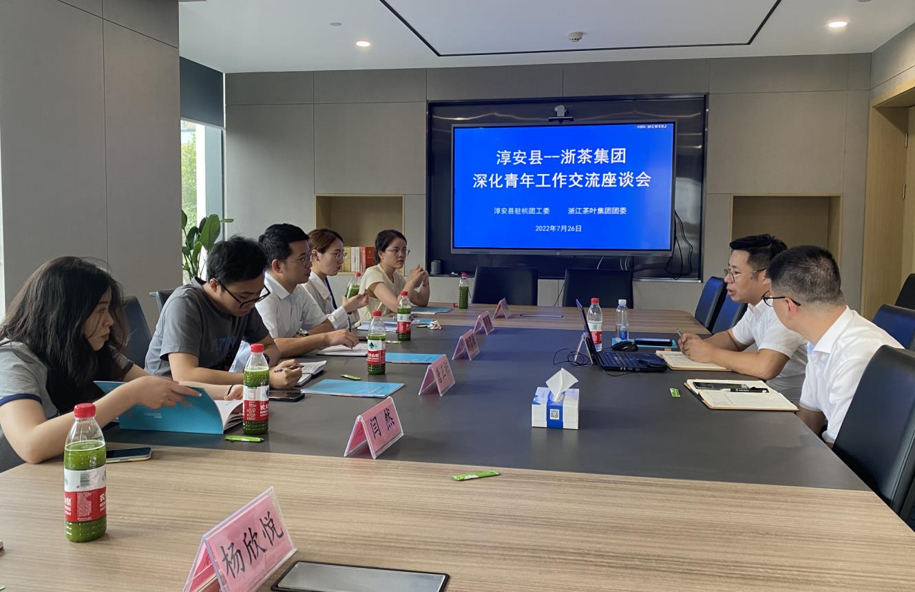 华亿(中国)一站式服务平台团委与淳安县驻杭团工委开展联建交流