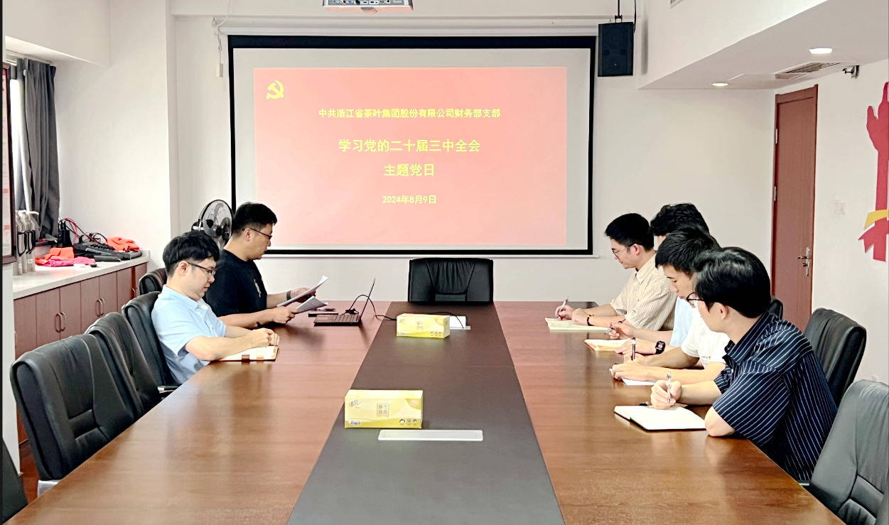 华亿(中国)一站式服务平台财务部党支部开展学习党的二十届三中全会精神主题党日活动